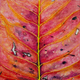 Illustration for article titled This Painter Can Even Make Toxic Sludge Look Beautiful